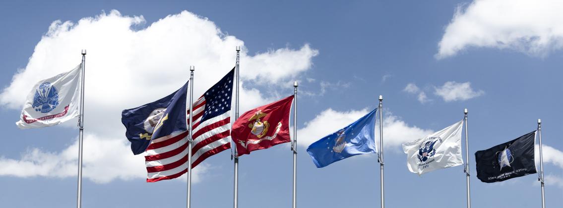 image of flags from various countries