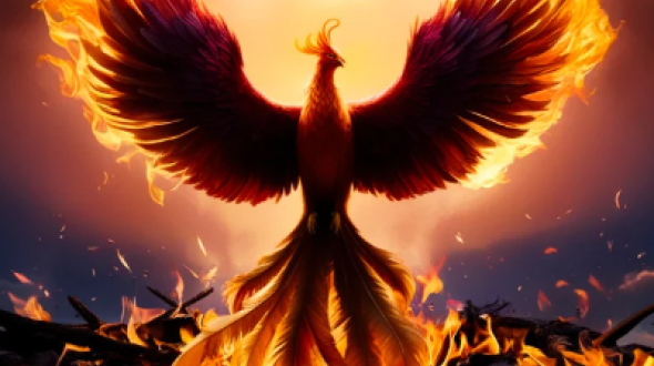 Bird on fire 