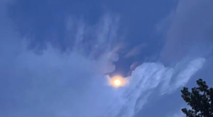 A Kiss From Heaven 